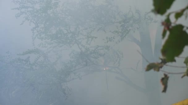 Catastrofale gevolgen van bosbranden. blussen van de brand in het bos, een stroom van water, spatten en rook, 4k, slow-motion-video schieten. Close-up — Stockvideo