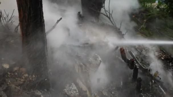 Katastrophale Folgen von Waldbränden. Feuerlöschung im Wald, ein Wasserstrahl, Spritzer und Rauch, 4k, Zeitlupenschießen. Nahaufnahme — Stockvideo
