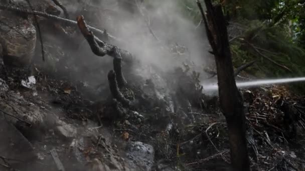 Катастрофические последствия лесных пожаров. тушение пожара в лесу, поток воды, брызги и дым, 4к, замедленная съемка. макро — стоковое видео