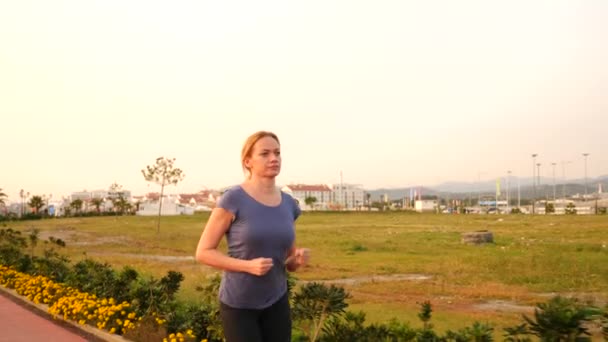 Road runner mulher correndo no parque, correndo ao longo do palmeiral, Correndo mulher ao ar livre, Parque com palmeiras, aterro, verão. 4k câmera lenta — Vídeo de Stock