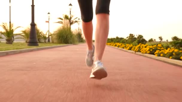 Road runner γυναίκα που τρέχει στο πάρκο, τζόκινγκ κατά μήκος το φοινικόδασος, γυναίκα τρέχει σε εξωτερικούς χώρους, πόδια γκρο πλαν 4k αργή κίνηση — Αρχείο Βίντεο