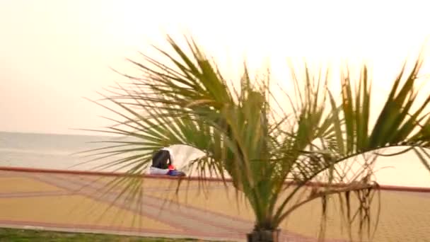 Femme coureuse de route courant dans le parc, faisant du jogging le long de la palmeraie, Femme coureuse à l'extérieur, Parc avec des palmiers, remblai, été. 4k au ralenti — Video