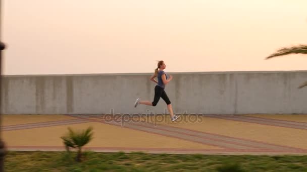 Road runner kobieta działa w parku, jogging wzdłuż gaju palmowego, Kobieta biegania na świeżym powietrzu, parku z palmami, wałowa, lato. 4 k zwolnionym tempie — Wideo stockowe