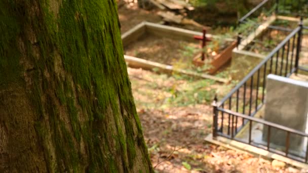 Lápidas y cruces en el cementerio. 4k, cámara lenta. espacio para copiar . — Vídeo de stock