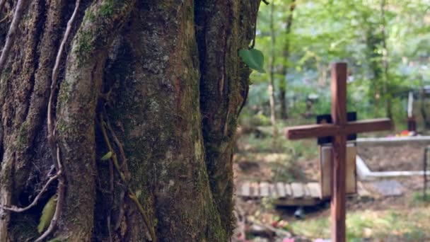 Pierres tombales et croix dans le cimetière. 4k, au ralenti. espace pour copier . — Video