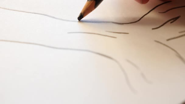 Artistas manos dibujando lápiz de madera. 4k, cámara lenta, primer plano — Vídeos de Stock