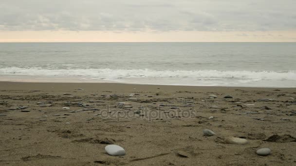 웨이브 고 버려진된 해변입니다. 4 k — 비디오