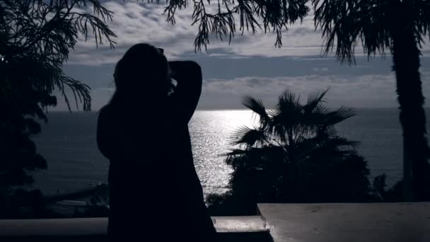 4k silhuetten av en Palm mot hav och himmel bakgrund, utsikt över en tropisk ö, ocean landskap rekreation. kvinnan gör ett foto av havet — Stockvideo