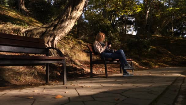 4k, rallentatore, ragazza con una macchina fotografica si siede su una panchina in un posto pittoresco. Passano i passanti . — Video Stock