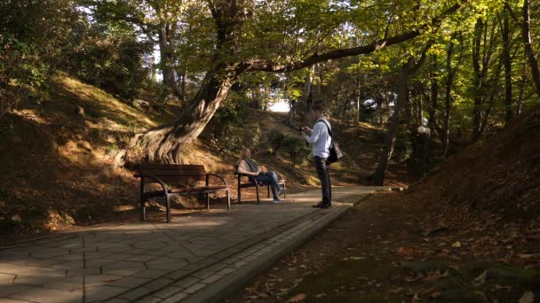 4k, slow-motion, girl with a camera sits on a bench in a picturesque place. Passers pass by. — Stock Video