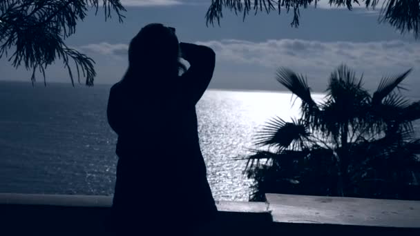 4K Silhouette of a palm tree against the sea and sky background, view of a tropical island, ocean landscape recreation. woman is making a photo of the sea — Stock Video