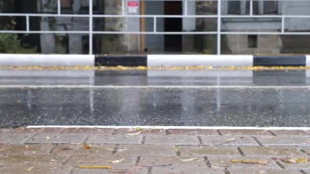 Автомобили проливной дождь, проезжают городские машины, влажная погода на асфальте. 4к, временной лапш — стоковое видео