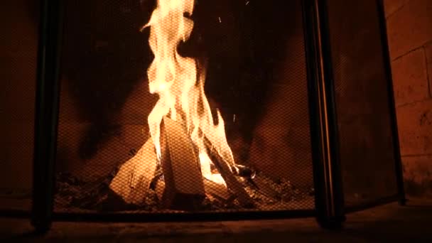 Feuer in einem Kamin. 4k, Zeitlupe. Frau legt Brennholz in den Kamin — Stockvideo