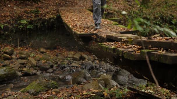 un touriste masculin marche le long d'une traversée auto-faite sur une rivière de montagne dans une forêt plus. 4k, au ralenti 