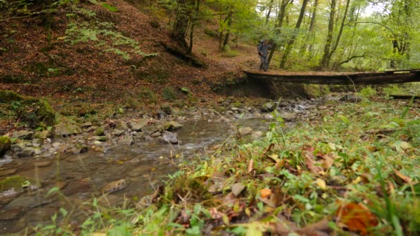 Um turista masculino está caminhando ao longo de um cruzamento self-made sobre um rio da montanha em uma floresta mais. 4k, câmera lenta — Vídeo de Stock