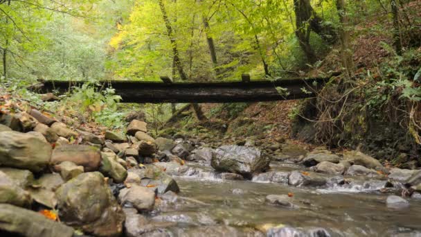 Egy férfi turista sétáltam egy saját készítésű átkelés egy erdőben hegyi folyón több. 4k, lassú mozgás — Stock videók