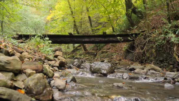 Un turista masculino está caminando a lo largo de un cruce hecho a sí mismo sobre un río de montaña en un bosque más. 4k, cámara lenta — Vídeos de Stock