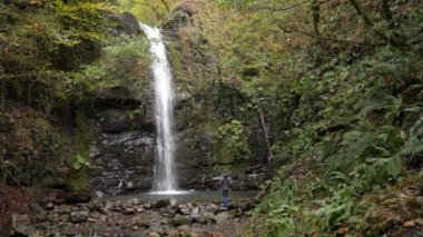 Mutlu bir adam backpacker muhteşem tropik şelale zevk. Yaşam tarzı ve başarı kavramı tatil vahşi doğaya arka plan dağda seyahat. 4k, ağır çekim