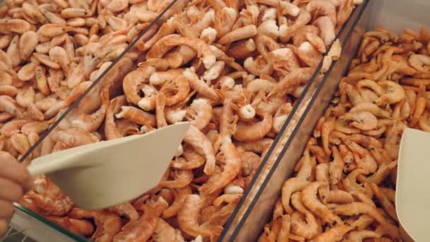 Fresh raw seafood on counter at food market. Slow motion. a female hand is picking up shrimp with a scoop from the counter. 4k. — Stock Video