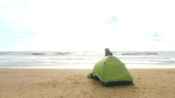 Camping tält på stranden vid havet. 4k, slowmotion. man ställa upp ett tält på stranden. — Stockvideo