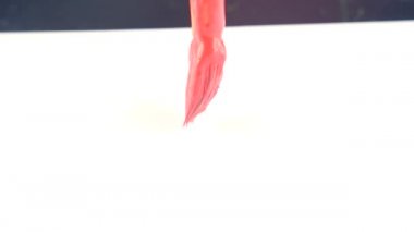 biri beyaz bir kağıda boya çizer. bir Püskül close-up. 4k, ağır çekim. kırmızı boya kelime aşk beyaz bir levha üzerinde yazıyor