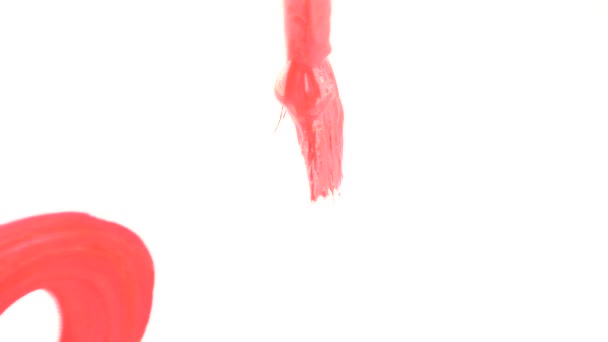 Någon drar färg på ett vitt ark. närbild av en tofs. 4k, slowmotion. skriver en röd färg på ett vitt ark av ordet kön — Stockvideo