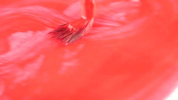 Någon drar färg på ett vitt ark. närbild av en tofs. 4k, slowmotion. Rita ett hjärta med röd färg — Stockvideo