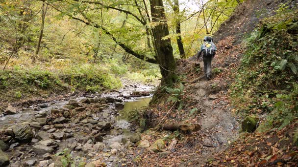 Ein Mann mit Rucksack spaziert am Ufer eines Gebirgsflusses im Wald entlang. 4k, Zeitlupe — Stockvideo