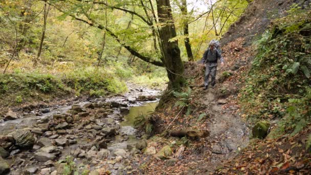 Un turista-uomo con uno zaino cammina lungo la riva di un fiume di montagna nella foresta. 4k, rallentatore — Video Stock