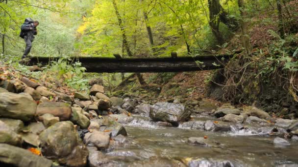 남성 여행자는 성가 건너는 숲에서 산 강 더 따라 걷고 있습니다. 4 k, 슬로우 모션 — 비디오