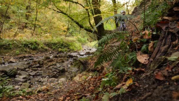 Un turist cu un rucsac merge de-a lungul malului unui râu de munte în pădure. 4k, mișcare lentă — Videoclip de stoc