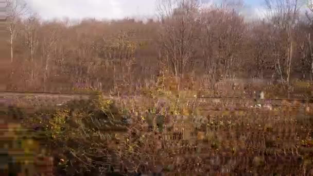 Paisaje, vista de árboles y bosques desde la ventana de un tren en movimiento, naturaleza. 4k — Vídeo de stock