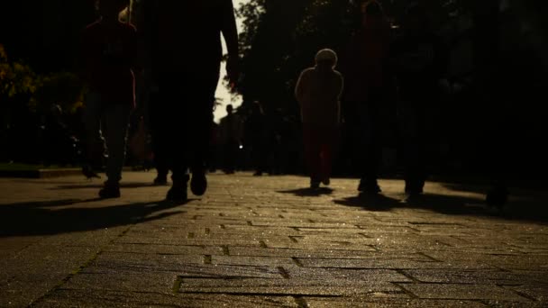 4 k. silhouet van anonieme mensen lopen in de stad. stedelijke metropool levensstijl landschap — Stockvideo