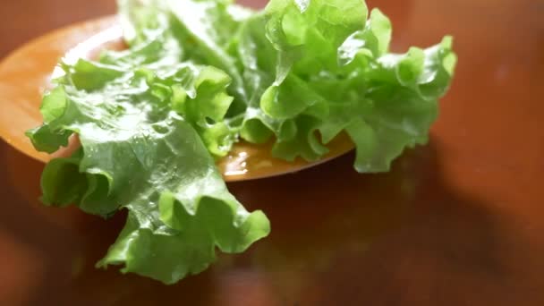 Dolly schot van groene salade verlaat. 4k, slow-motion — Stockvideo