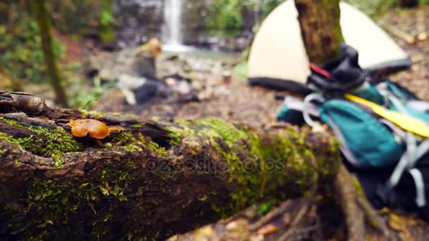 4K, câmara lenta. turista mulher prepara salsichas em uma mini grelha em uma floresta perto de uma cachoeira na margem de um rio de montanha — Vídeo de Stock