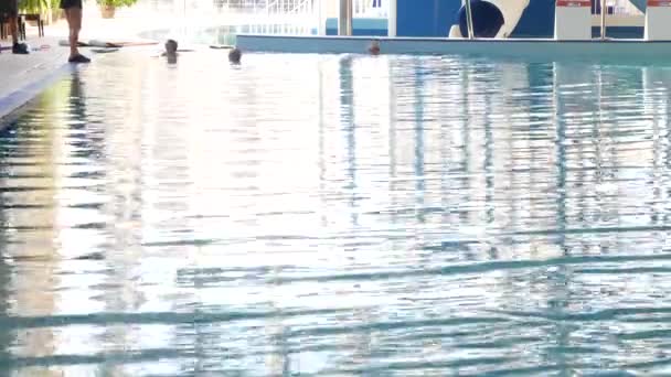 少女は、水泳のコーチは、子どもたちとプールでトレーニングを行っています。4 k、スローモーション — ストック動画