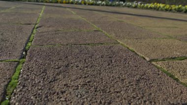 yerdeki kırık güneş gözlüğü. Birileri kaldırımda, 4 k, ağır çekim silah, kopya alanı güneş gözlüğü damla