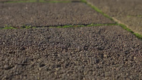 Gafas de sol rotas en el suelo. alguien deja caer gafas de sol en la acera, 4k, disparos en cámara lenta, espacio para copiar — Vídeo de stock