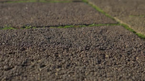 Gafas de sol rotas en el suelo. alguien deja caer gafas de sol en la acera, 4k, disparos en cámara lenta, espacio para copiar — Vídeos de Stock