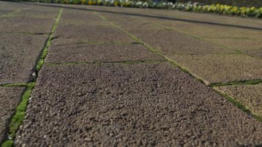 yerdeki kırık güneş gözlüğü. Birileri kaldırımda, 4 k, ağır çekim silah, kopya alanı güneş gözlüğü damla