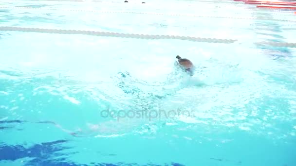 Дети плавают в бассейне, 4k — стоковое видео