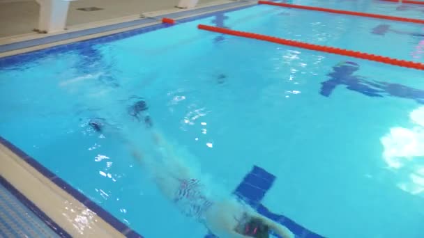 孩子们在游泳池里游泳, 4k — 图库视频影像