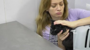 4 k. ağır çekim. bir kadın bir kedi bir veteriner kliniğine getirdim. Doktorlar randevu bekliyor.