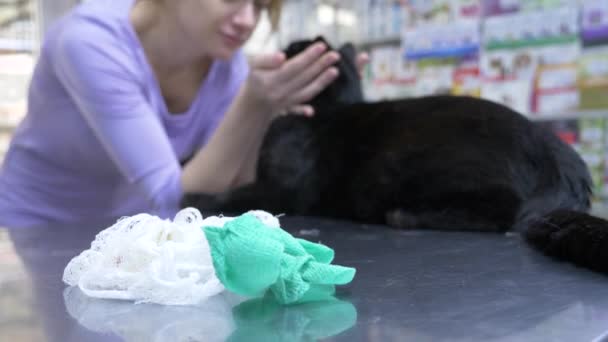 4 k. ağır çekim. bir kadın bir kedi bir veteriner kliniğine getirdim. Doktorlar randevu bekliyor. — Stok video