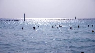 Tanınmayan insanların bir siluet plaj ve deniz büyük grup. insanlar denizde yüzüyor. 4k, ağır çekim