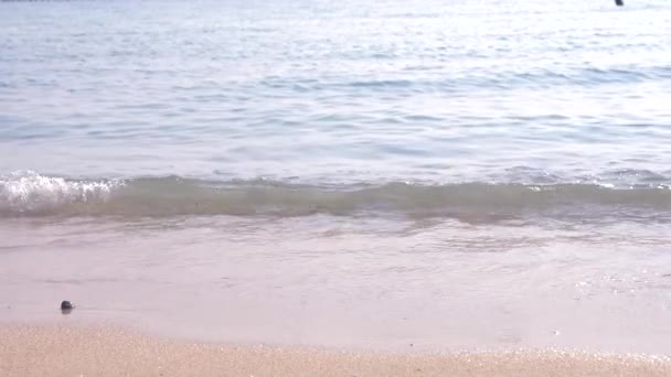 Пара влюбленных прогуливаются по пляжу в ясный солнечный день. ноги мужчины и женщины, идущие вдоль побережья. 4k, slow motion — стоковое видео