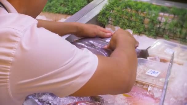 Showcase with sliced red fish on ice. Market. Fish in the shop window. Raw seafood is sold in the store. Closeup. 4k — Stock Footage Showcase with sliced red fish on ice. Market. Fish in the shop window. Raw seafood is sold in the store. Closeup. 4k Royalty Free Stock Video
