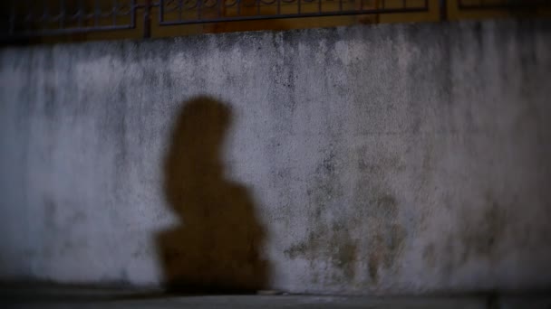 Un voleur, menace une femme et prend son sac, dans une ruelle sombre. la nuit — Video