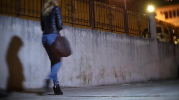 Um ladrão, ameaça uma mulher e leva a carteira, num beco escuro. à noite — Vídeo de Stock
