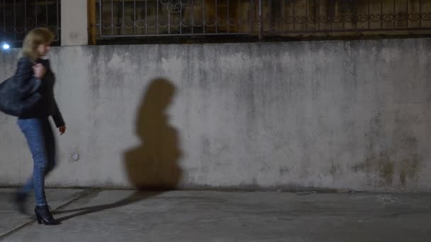 Un ladrón, amenaza a una mujer y toma su bolso, en un callejón oscuro. por la noche — Vídeos de Stock